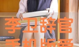 李卫辞官手机在线观看,手机在线观看，揭秘古代官场风云